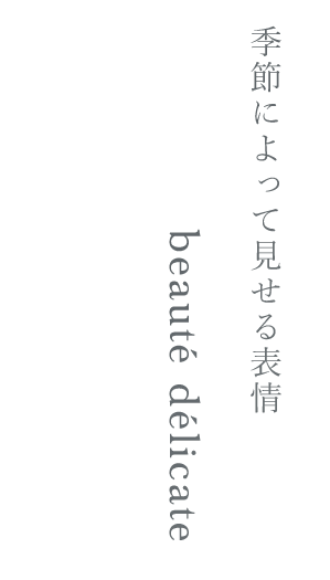 季節によって見せる表情